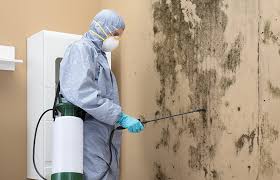 Best Commercial Mold Inspection  in Oquawka, IL